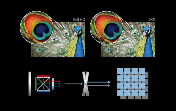 EShift Grafik mit Pfau